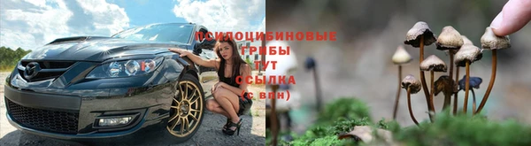 шишки Богородск