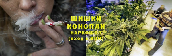 шишки Богородск