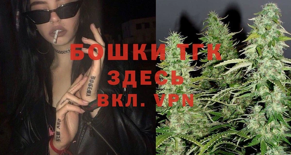 шишки Богородск