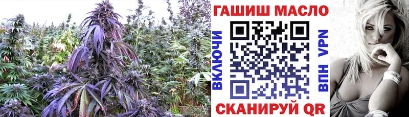 ТГК жижа  как найти закладки  Острогожск 