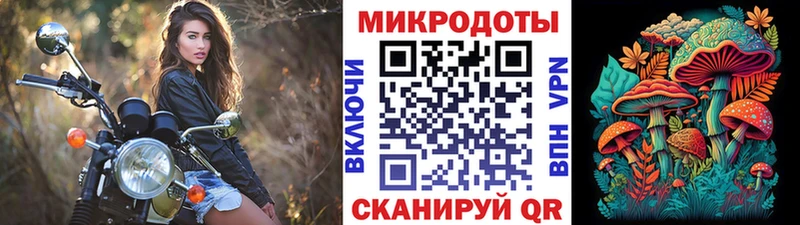 Псилоцибиновые грибы прущие грибы цена Острогожск